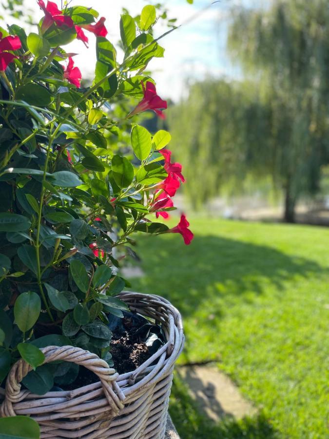 Gemuetliches Fachwerkhaus Am Mit Kamin Villa