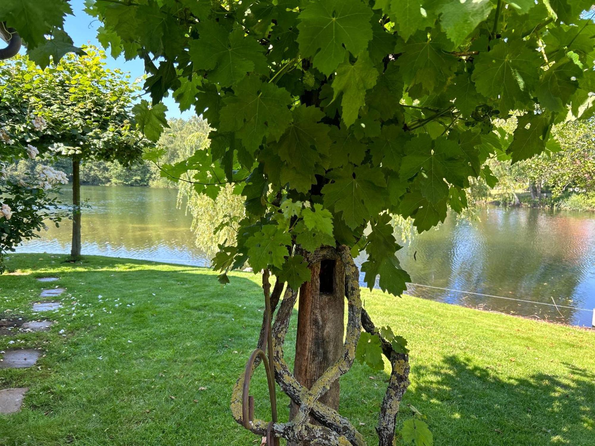 Gemuetliches Fachwerkhaus Am Mit Kamin * Warendorf
